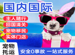 台州路桥机场物流国际宠物托运 【国